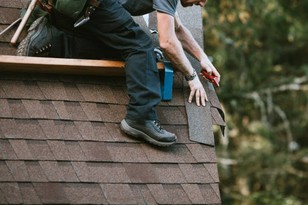 Best Affordable Roof Replacement  in USA